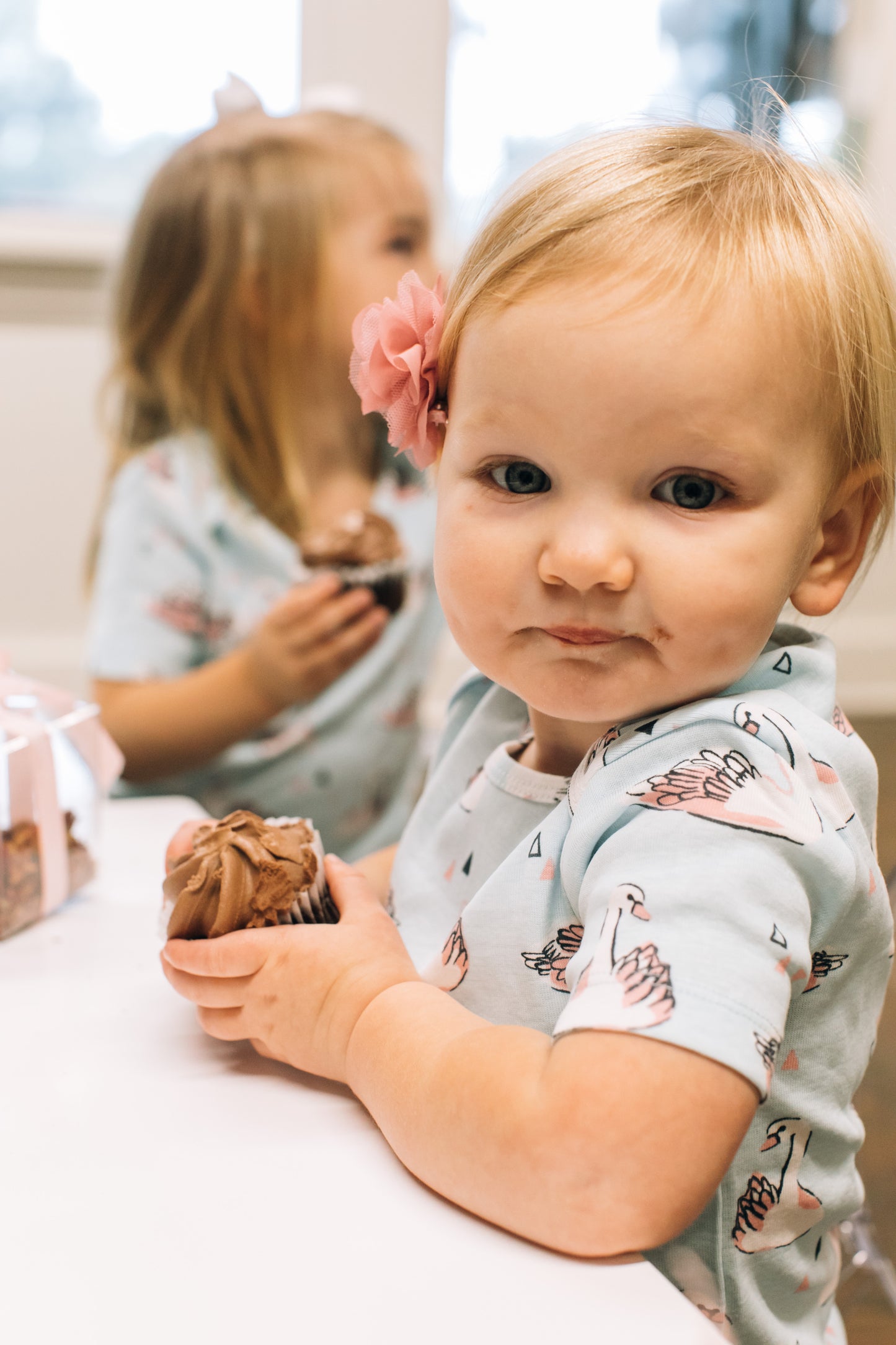 Winter Swan Party Box