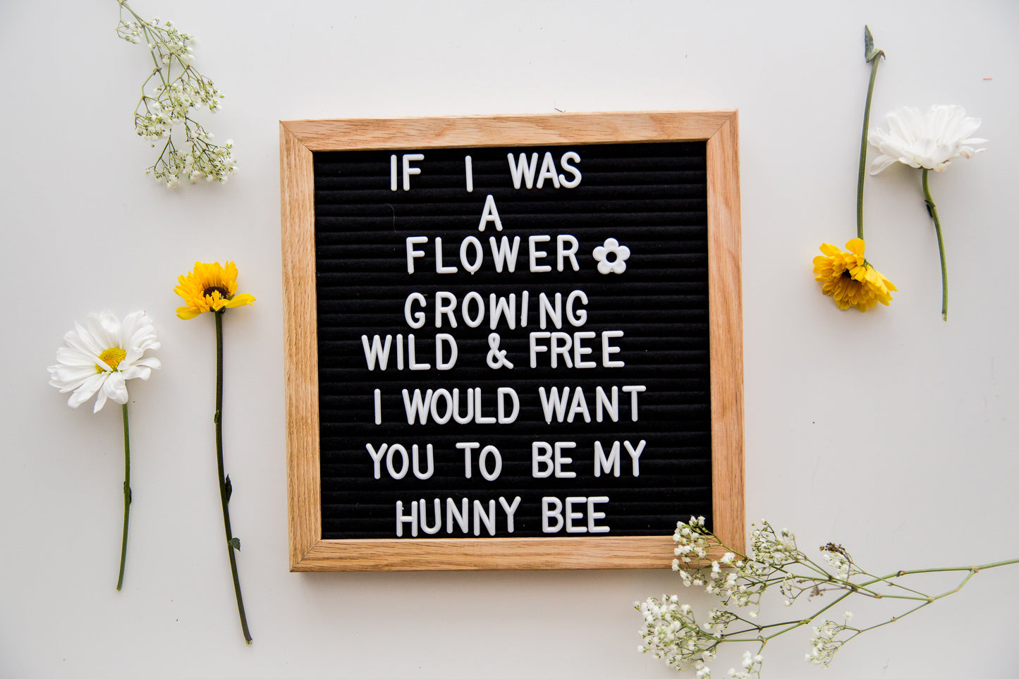 Little Honey Bee Party Box