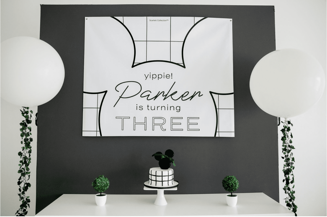 Magical Mouse Party Box