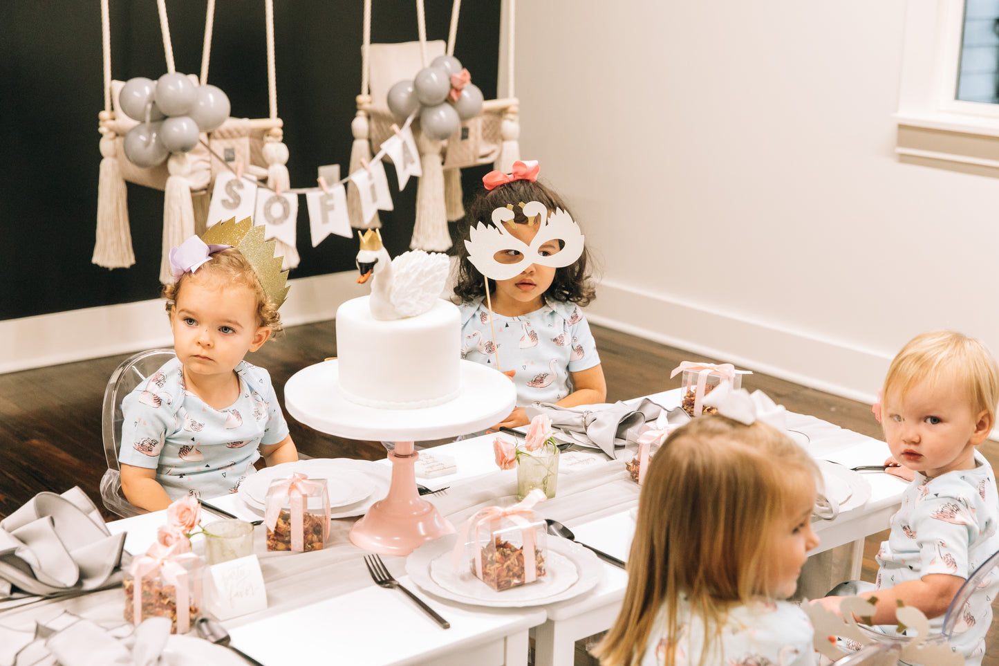 Winter Swan Party Box