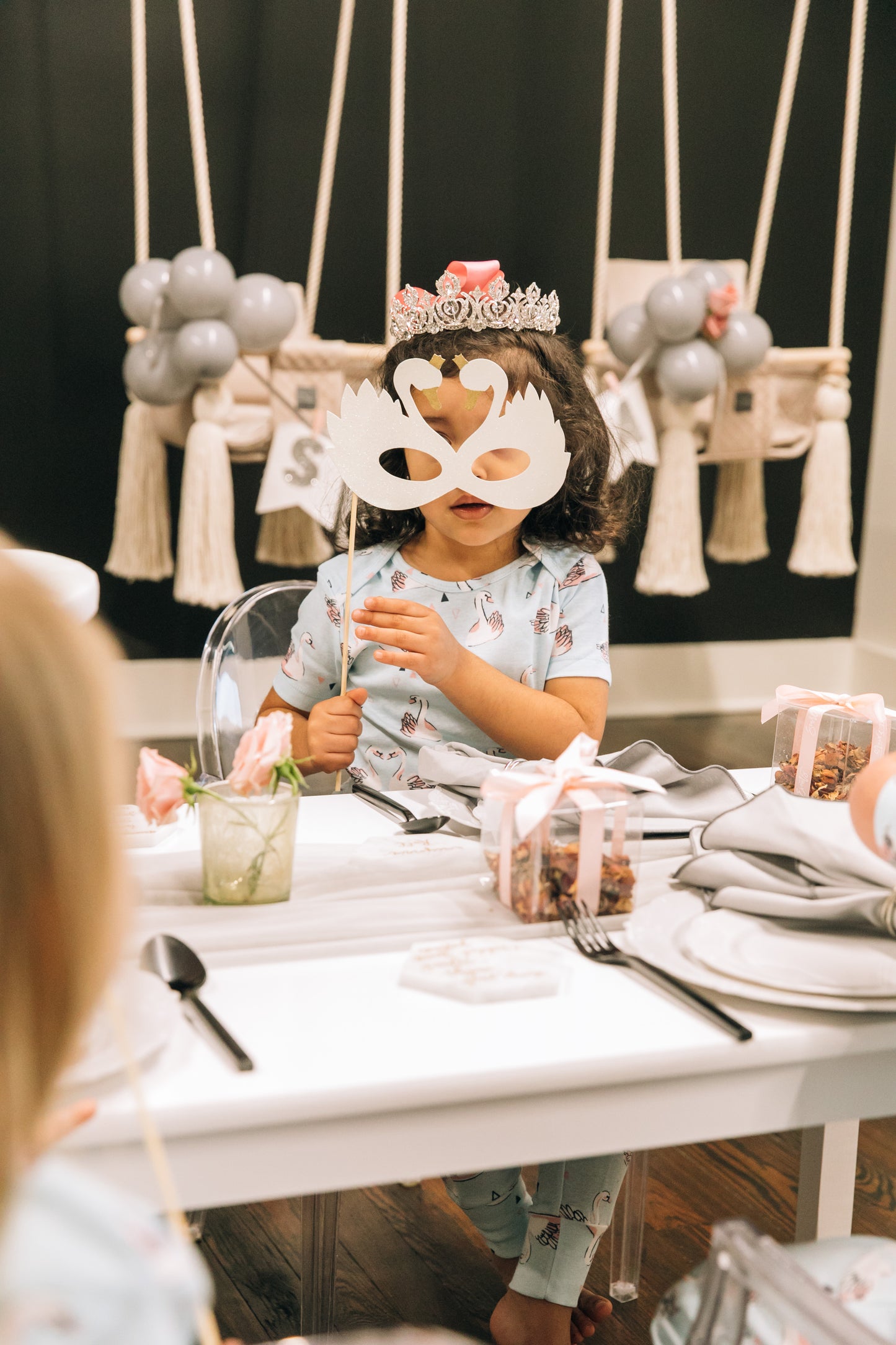 Winter Swan Party Box