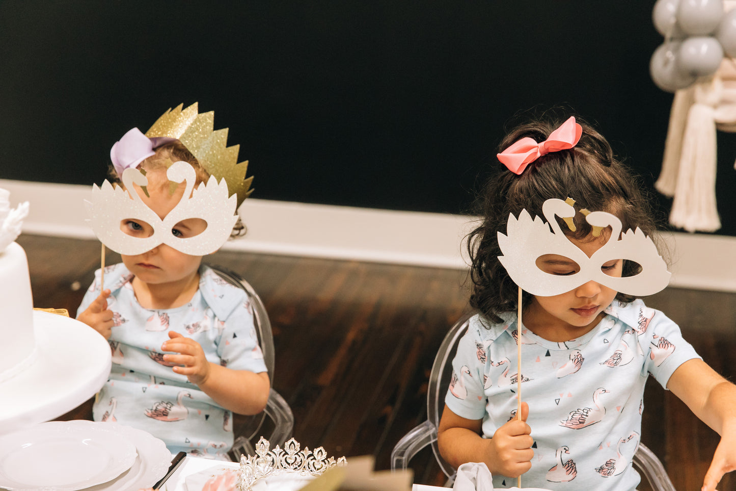 Winter Swan Party Box