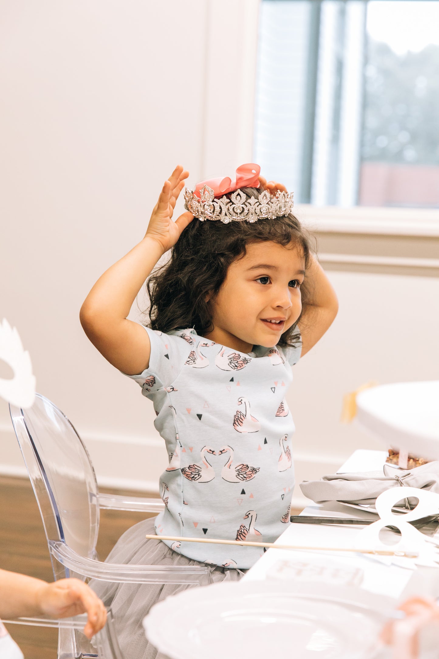 Winter Swan Party Box