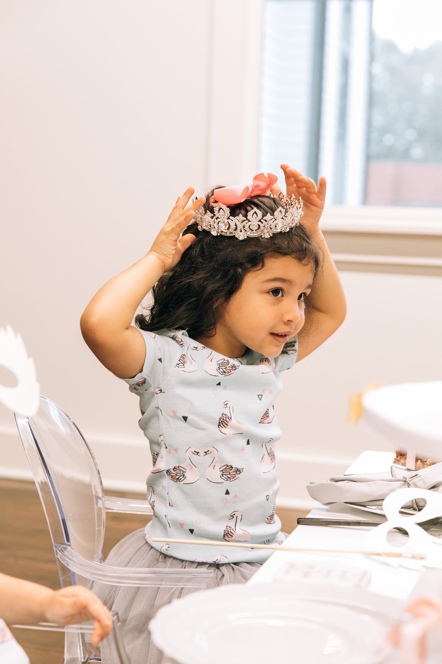 Winter Swan Party Box