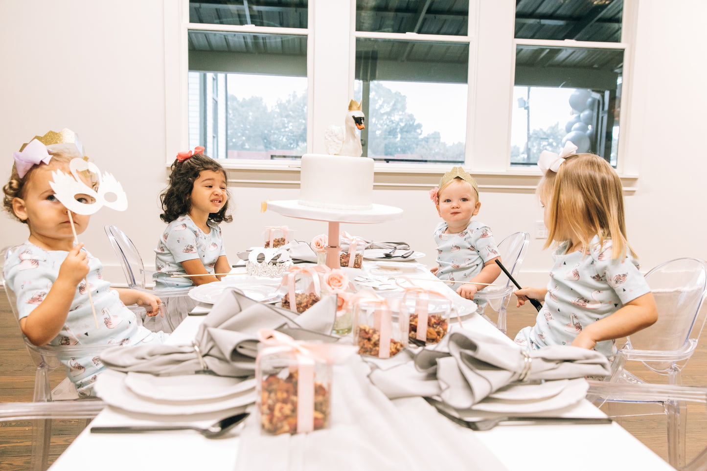 Winter Swan Party Box