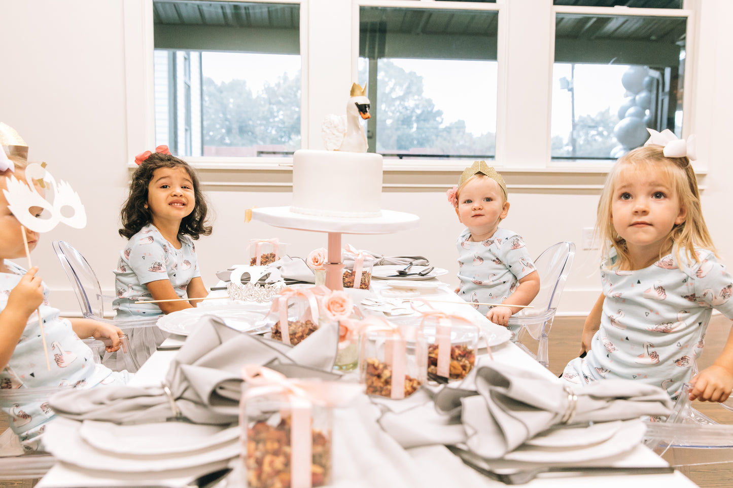 Winter Swan Party Box