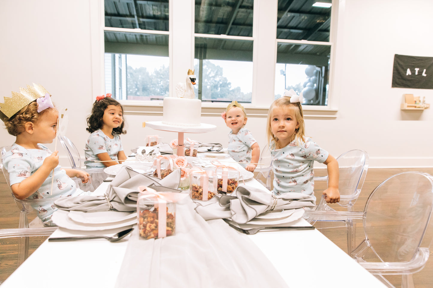 Winter Swan Party Box