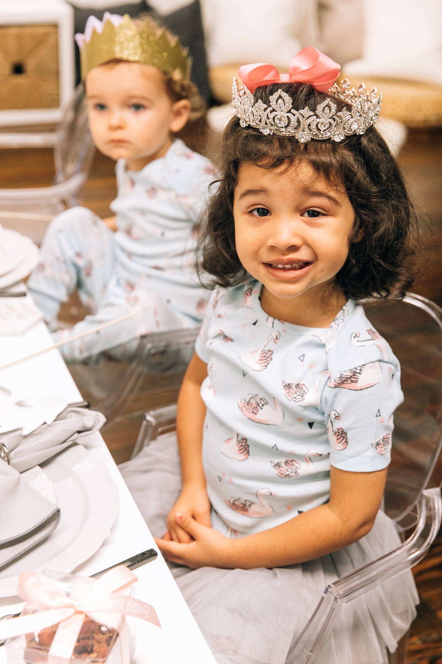 Winter Swan Party Box