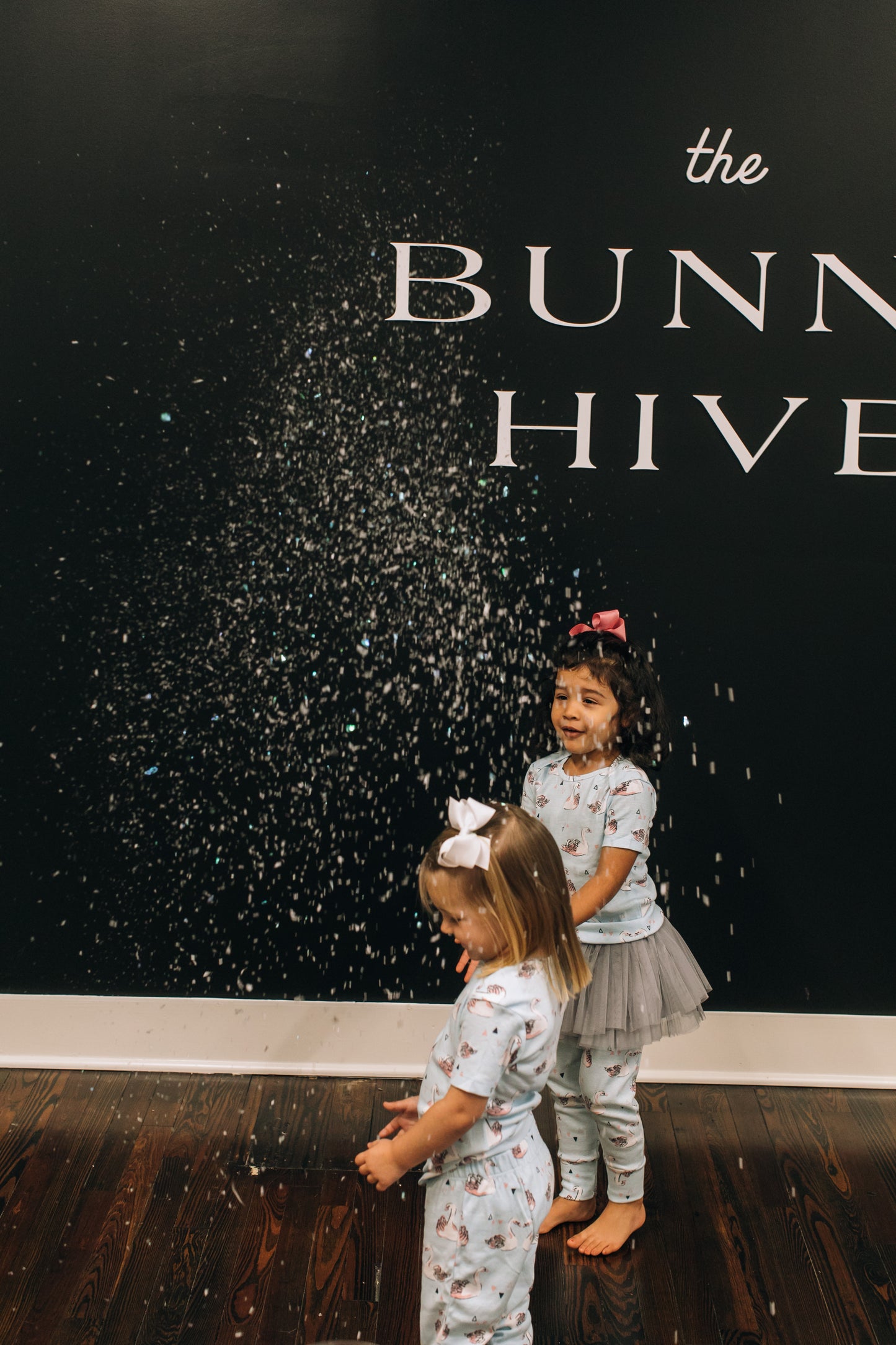 Winter Swan Party Box