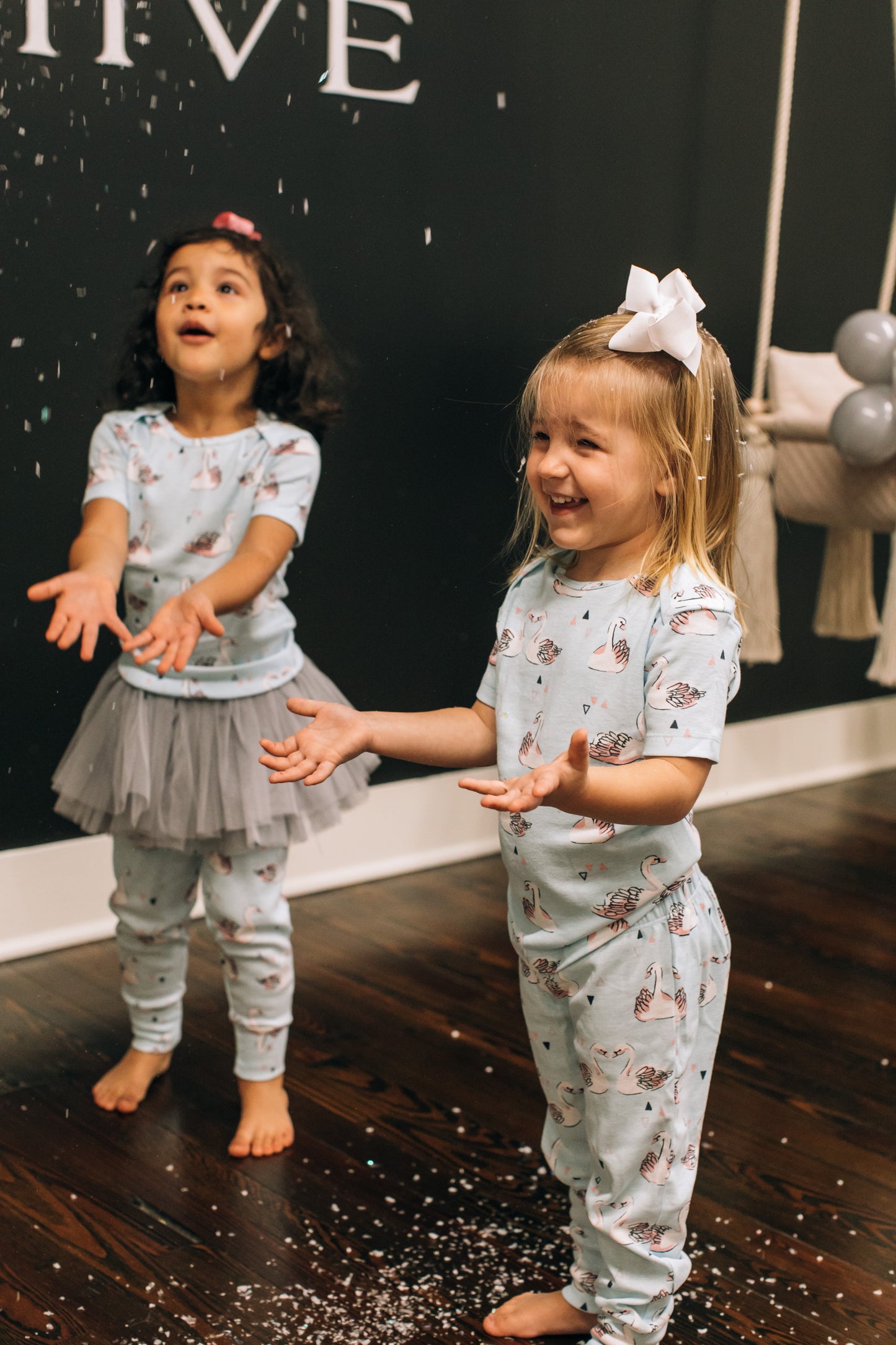 Winter Swan Party Box