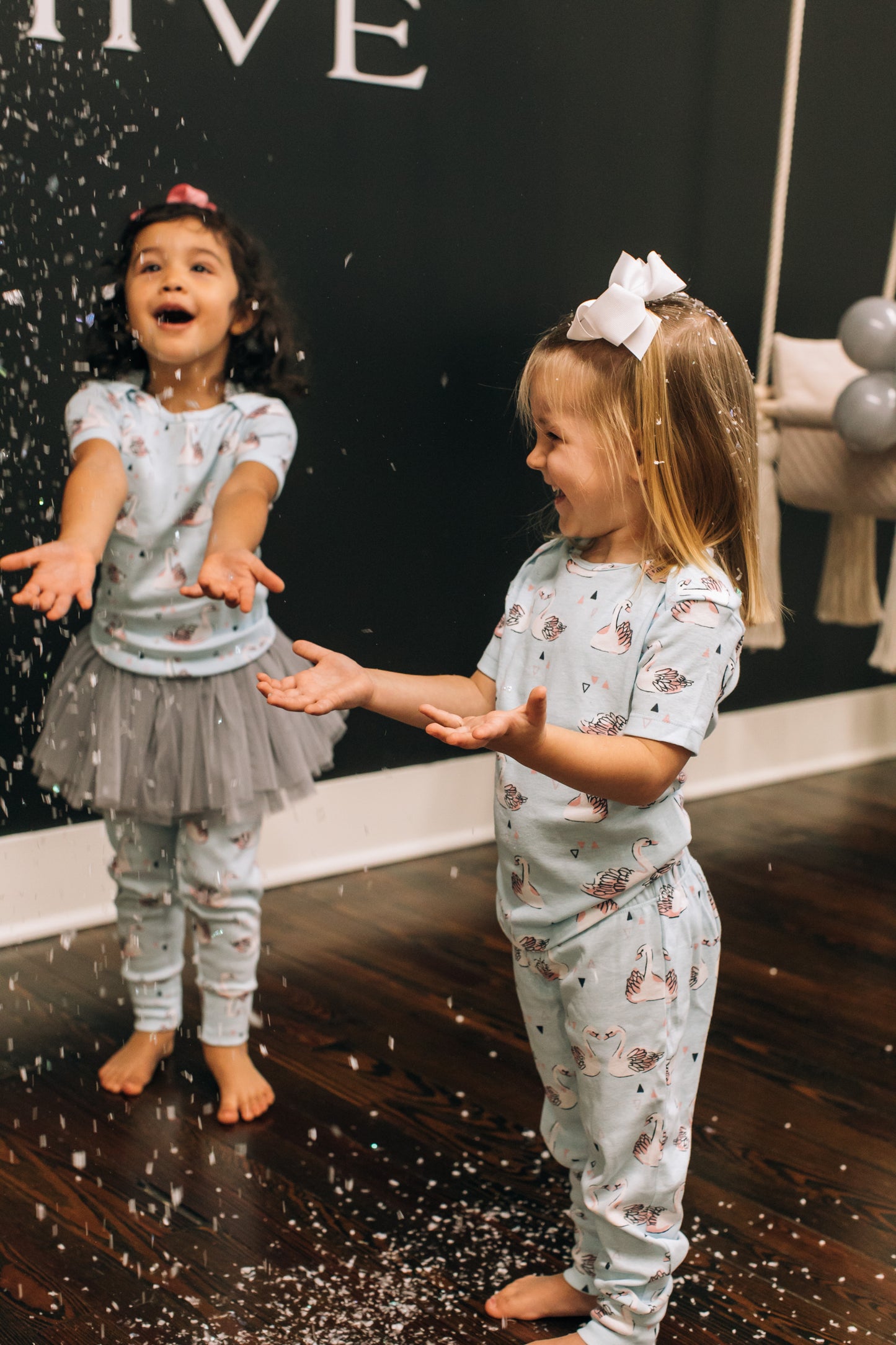 Winter Swan Party Box