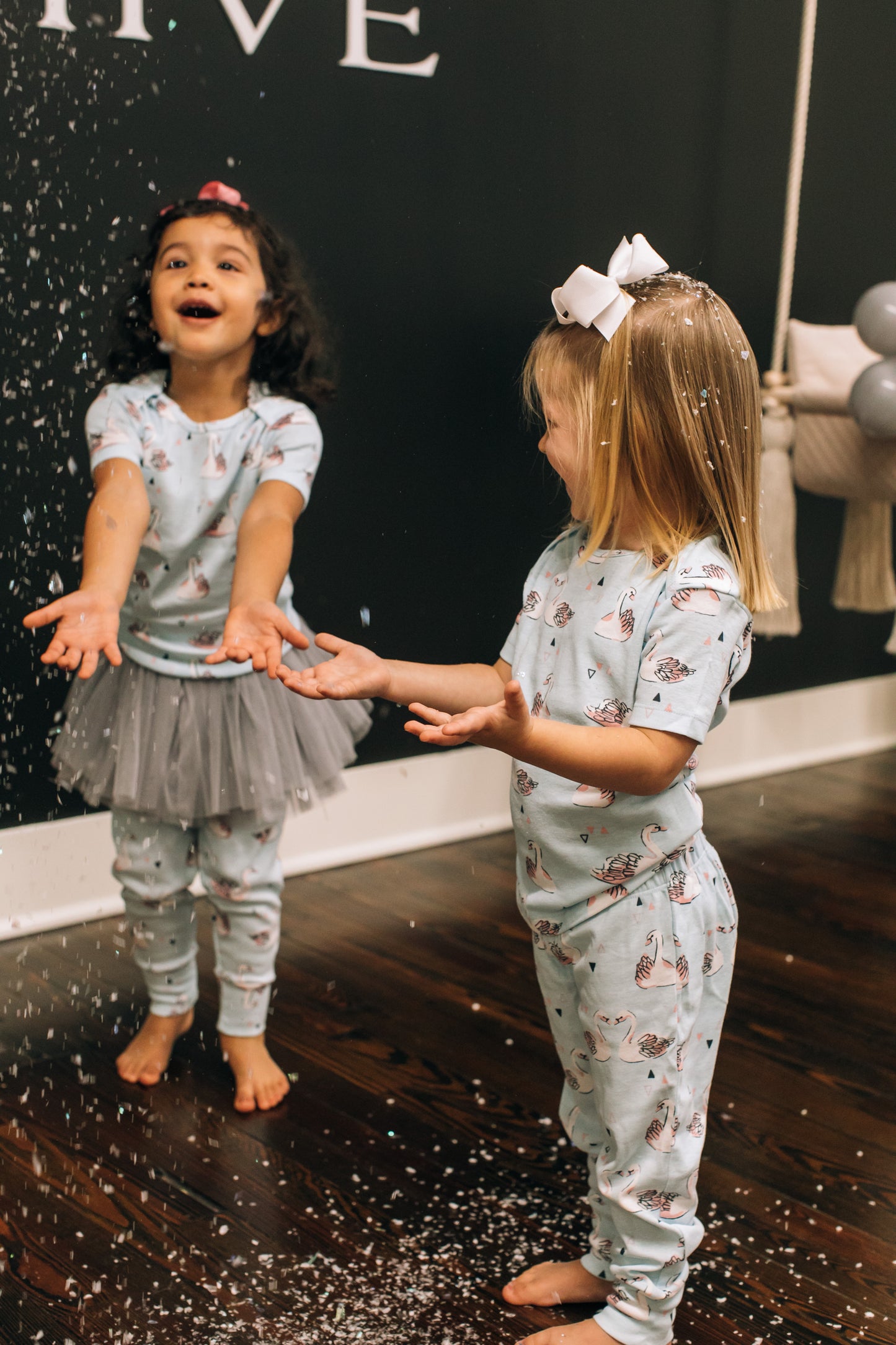 Winter Swan Party Box