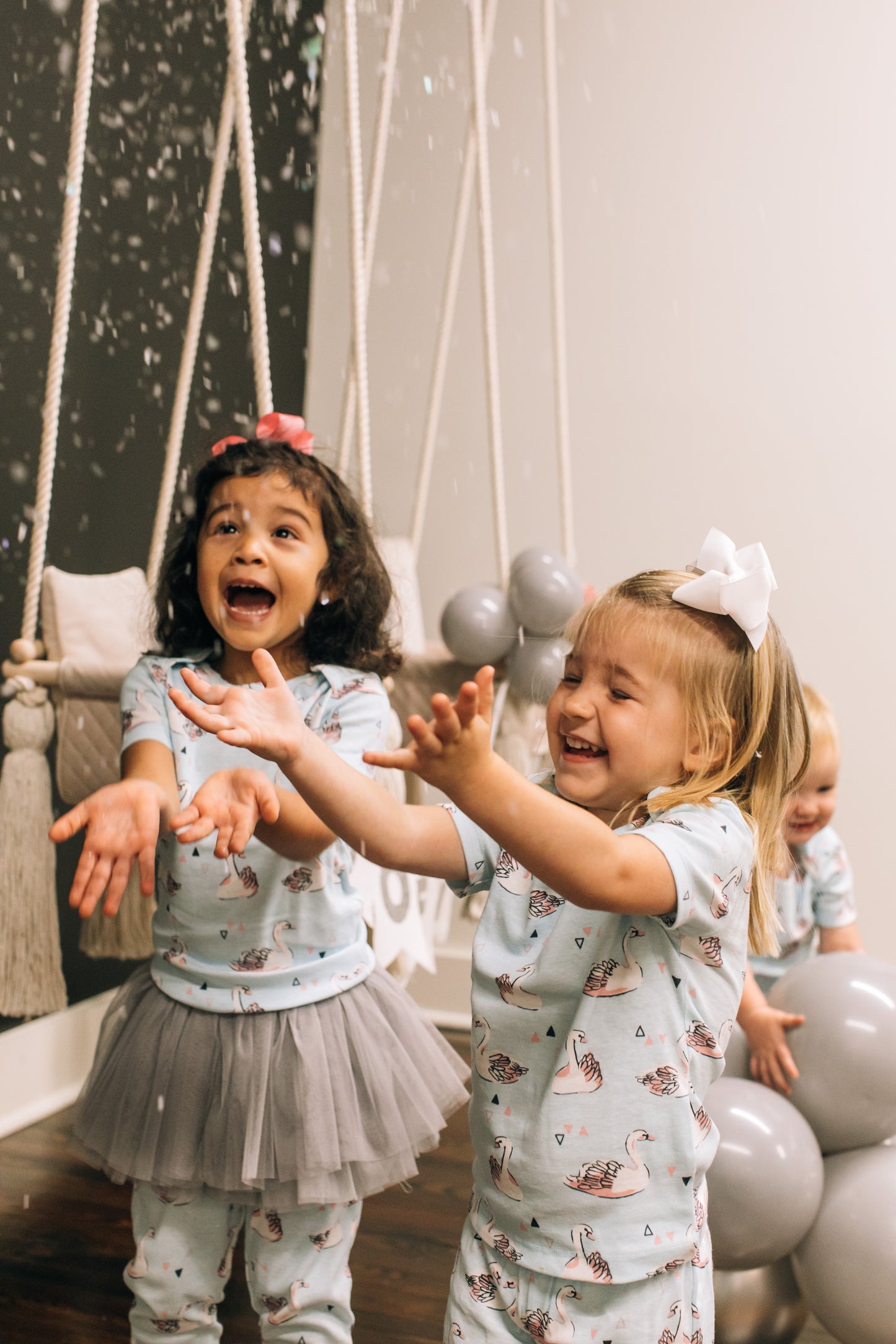 Winter Swan Party Box