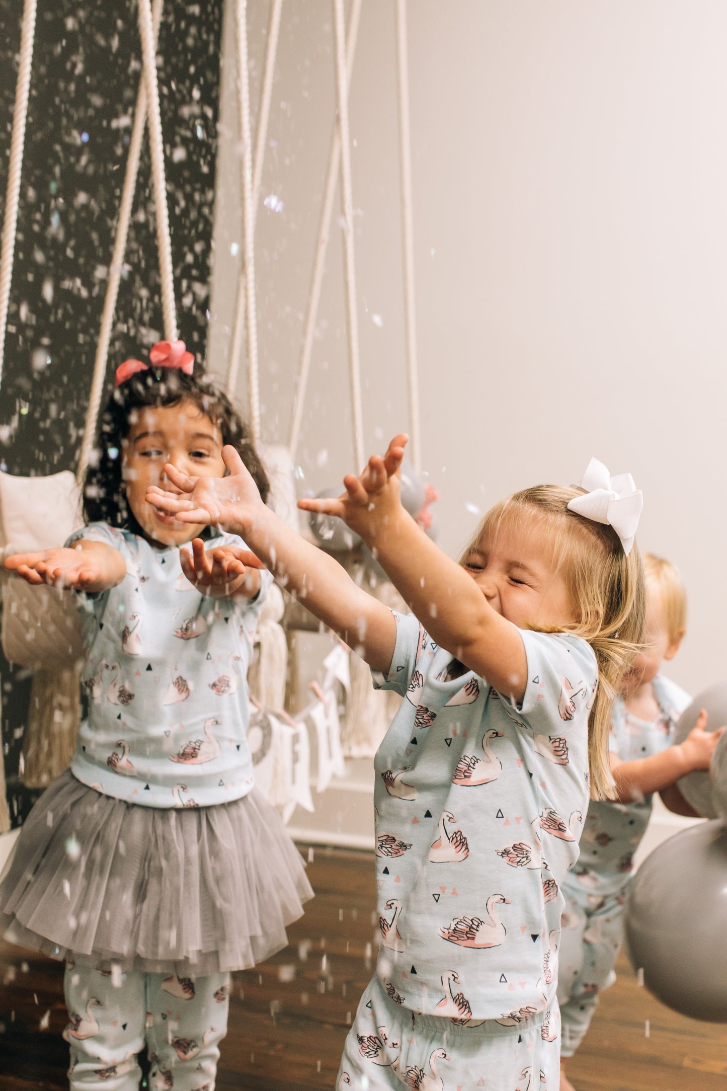 Winter Swan Party Box