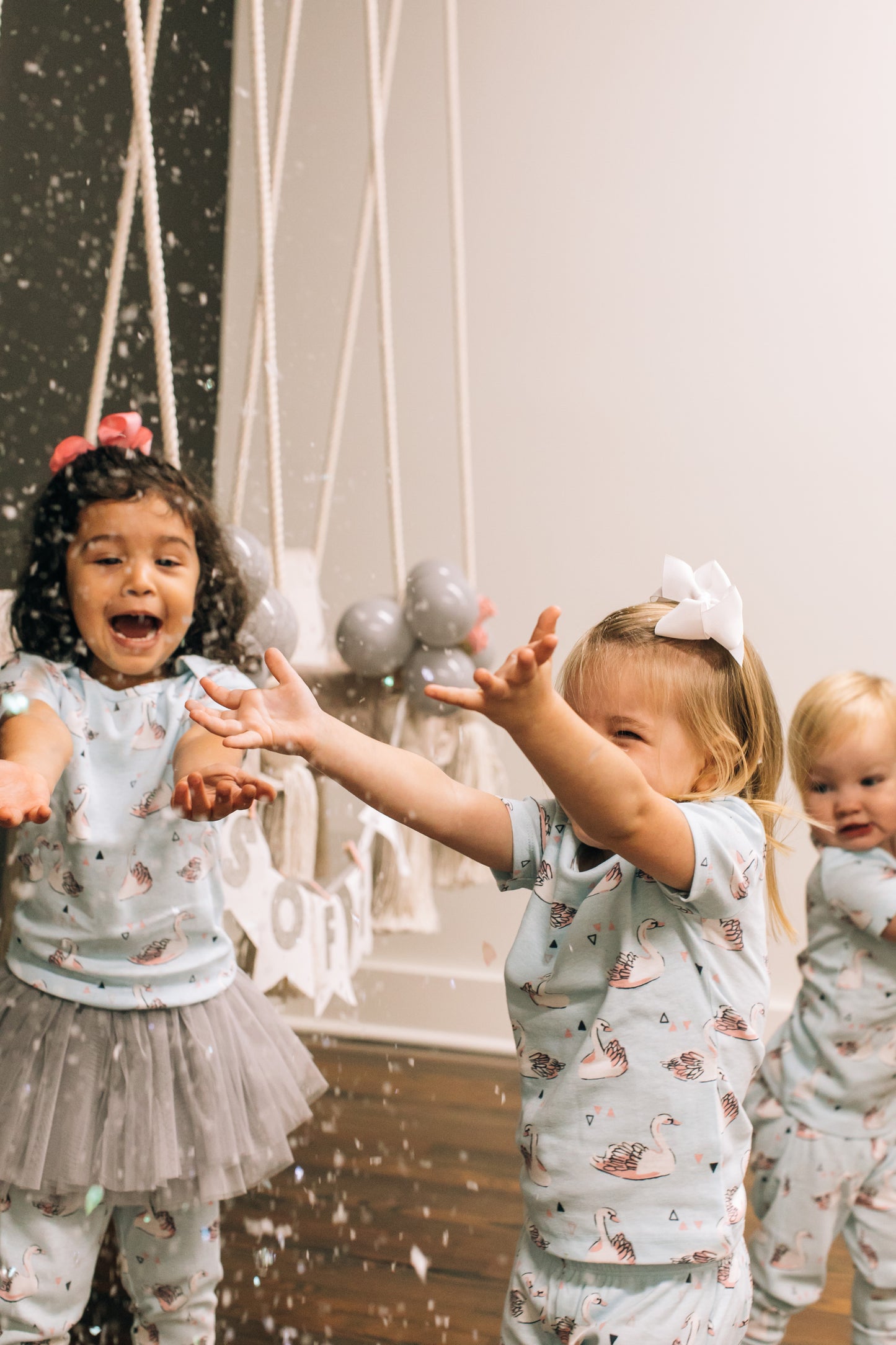 Winter Swan Party Box