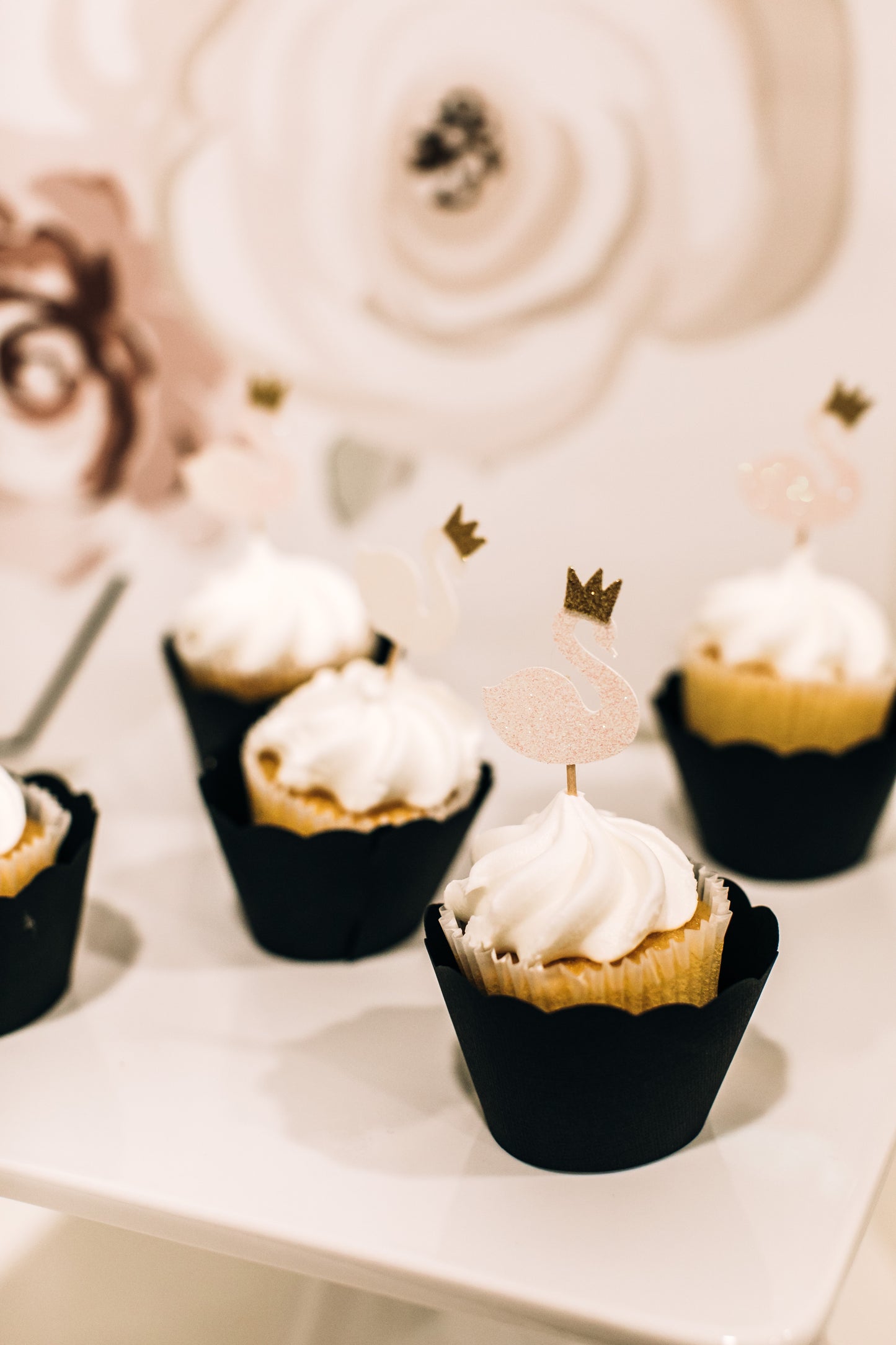 Winter Swan Party Box