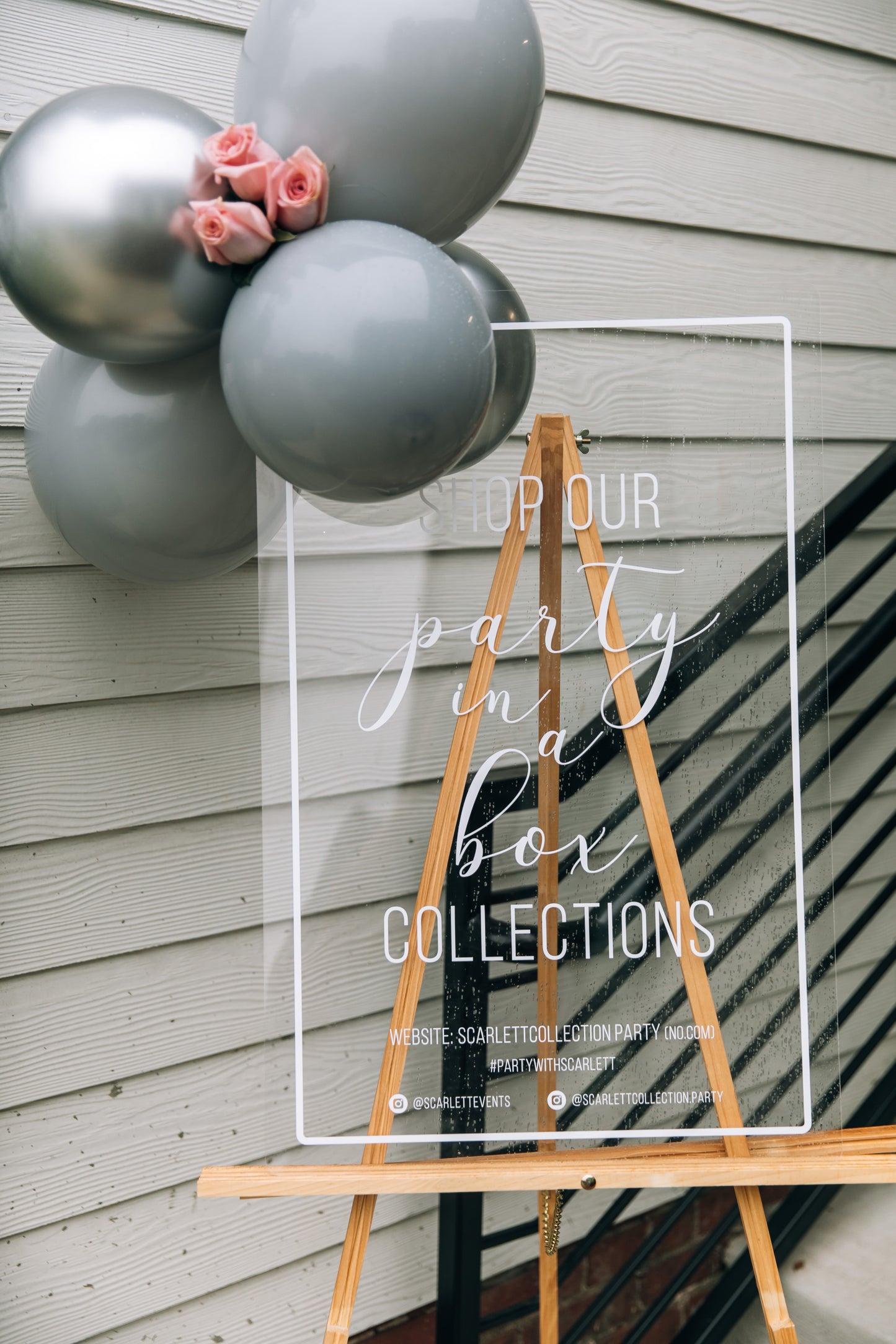 Winter Swan Party Box