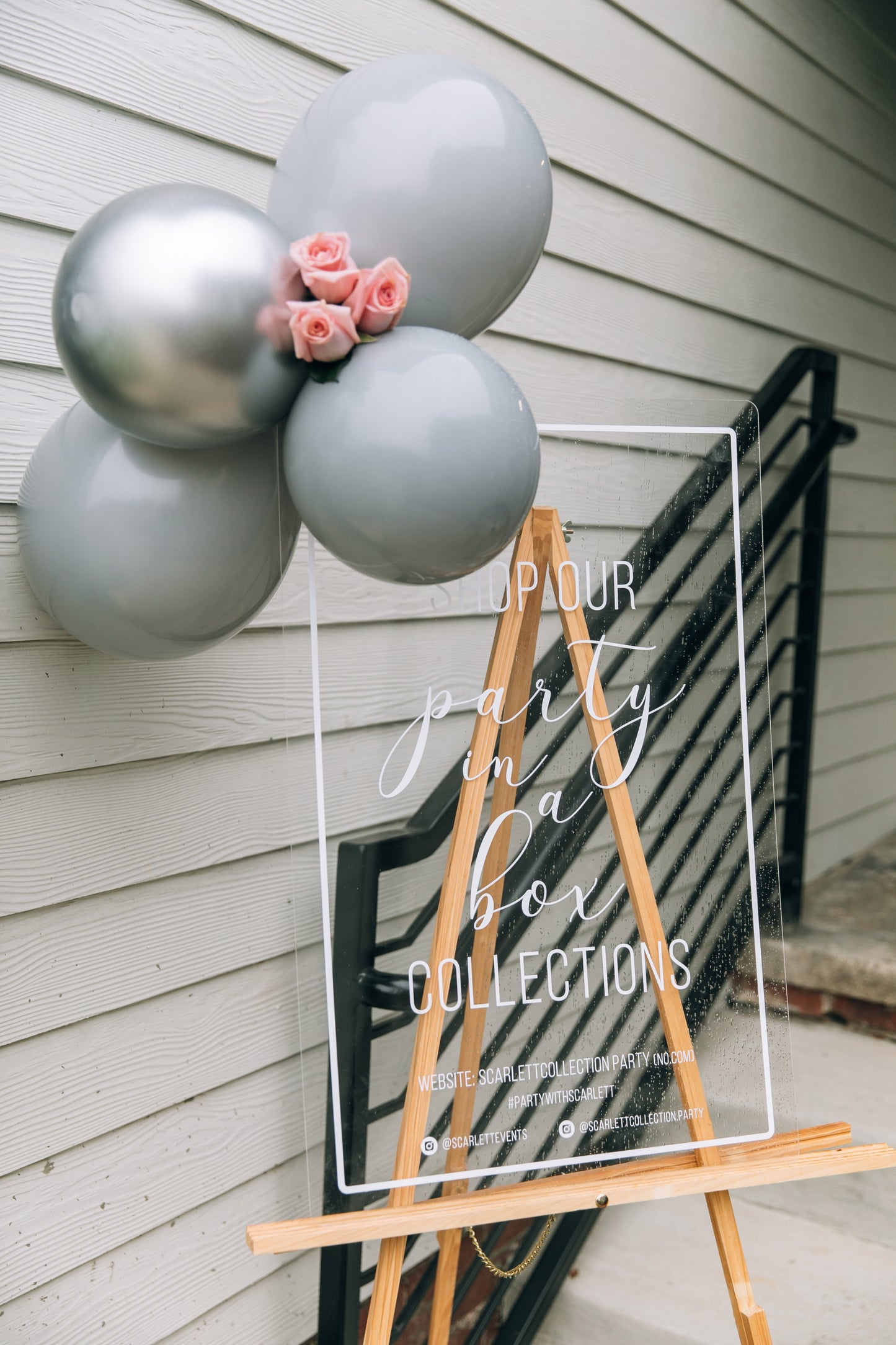 Winter Swan Party Box