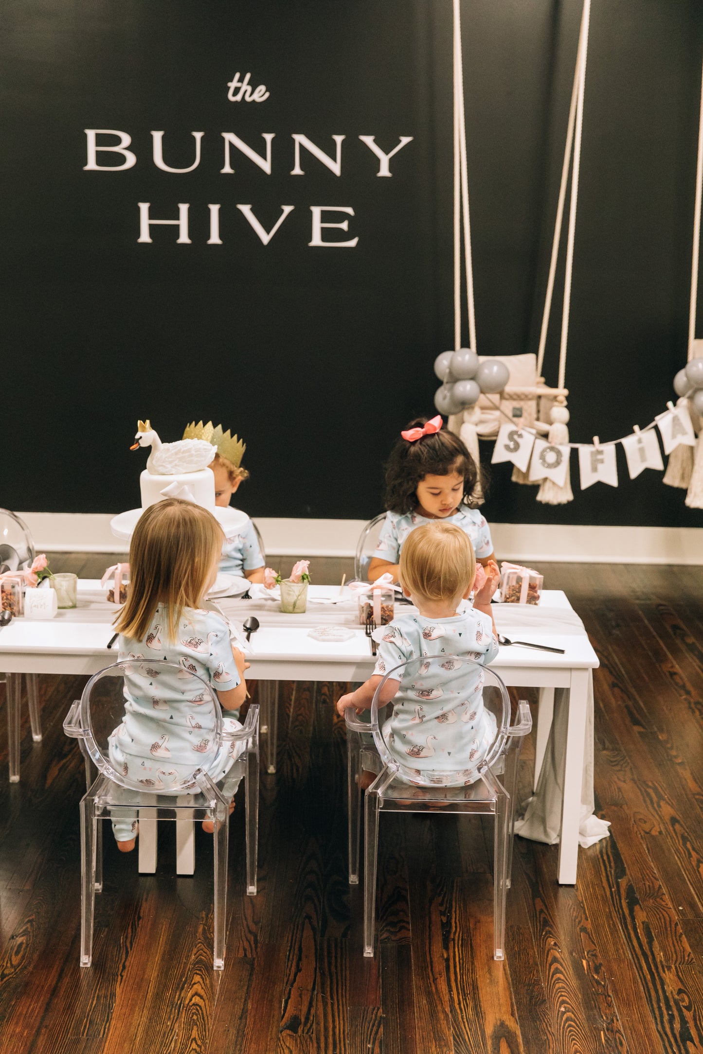 Winter Swan Party Box