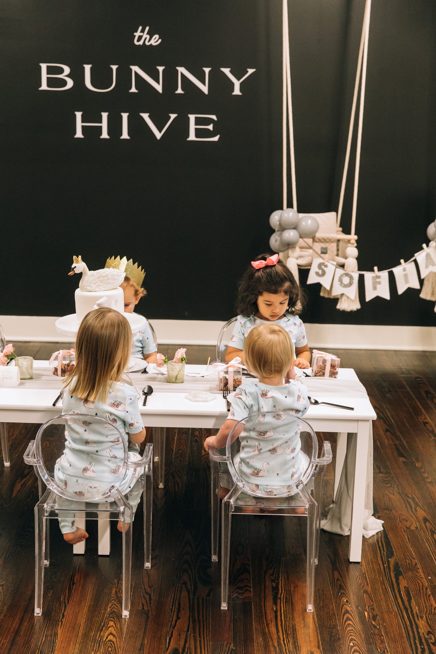 Winter Swan Party Box