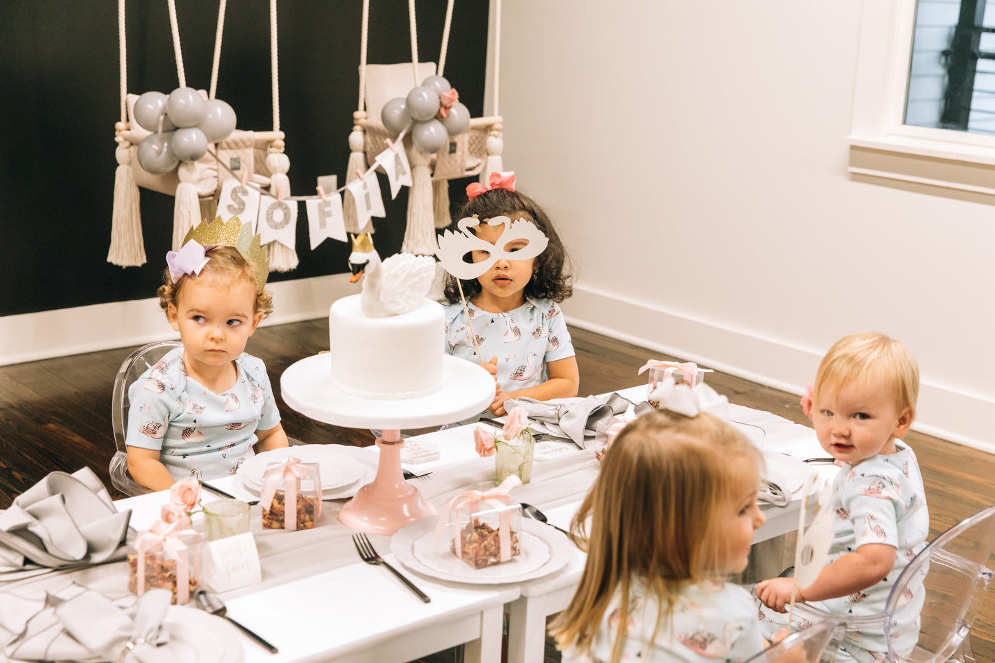 Winter Swan Party Box